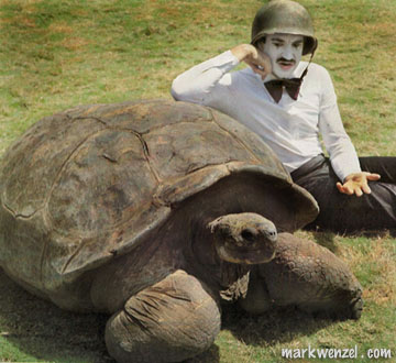 The Mime and the Tortoise